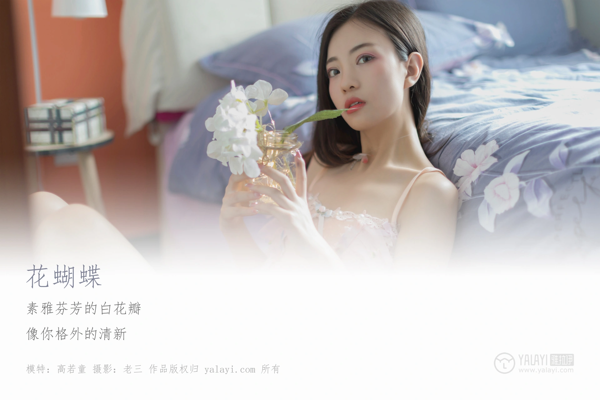 [YALAYI雅拉伊] No.311 花蝴蝶 高若童 1